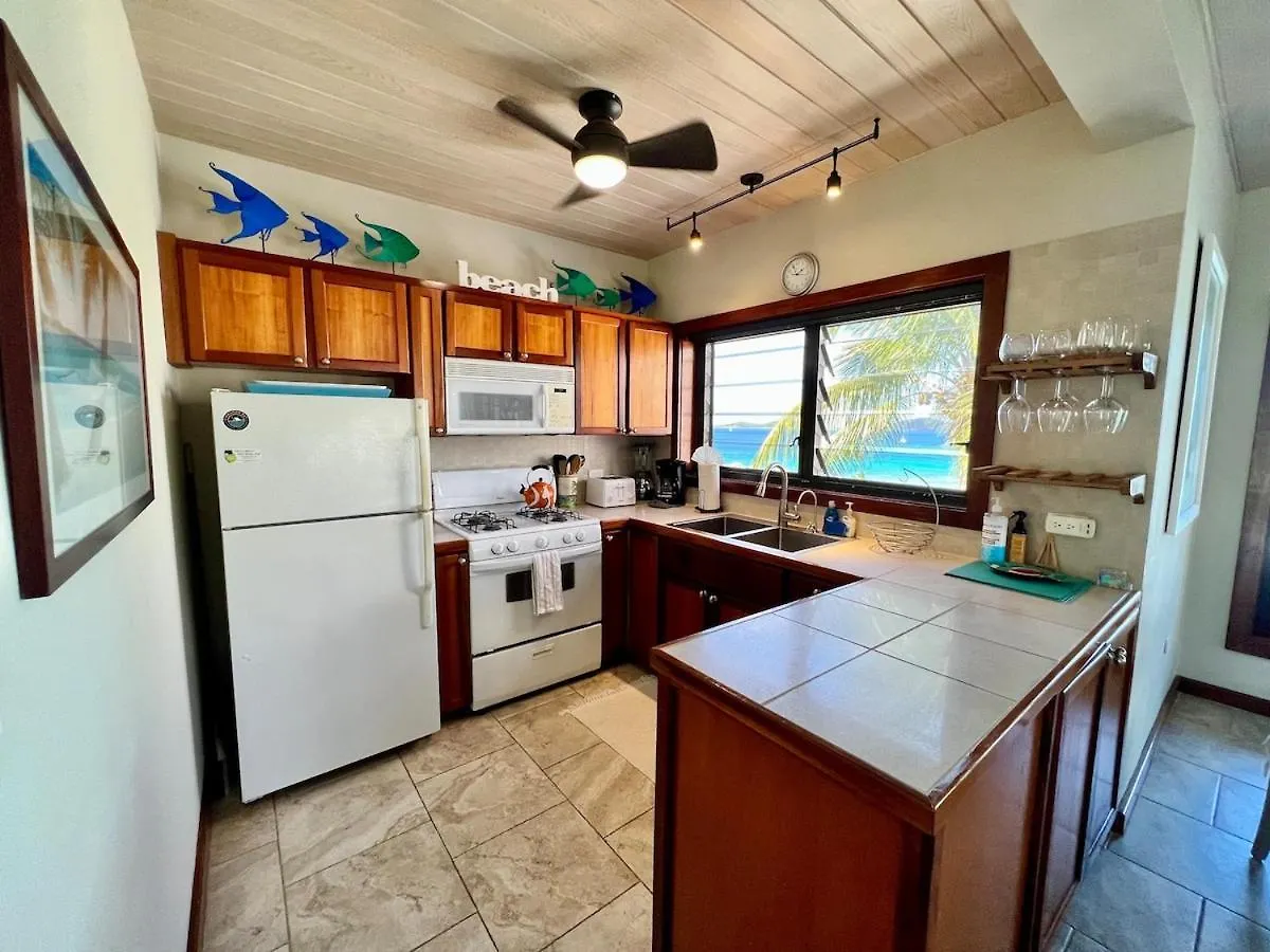 Διαμέρισμα Expansive Views From This Luxury Bayview Penthouse Cruz Bay Αμερικανικές Παρθένοι Νήσοι